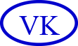 VK Holdings